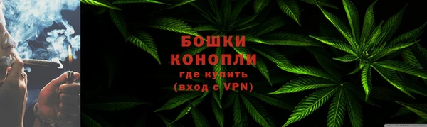 бошки Богданович